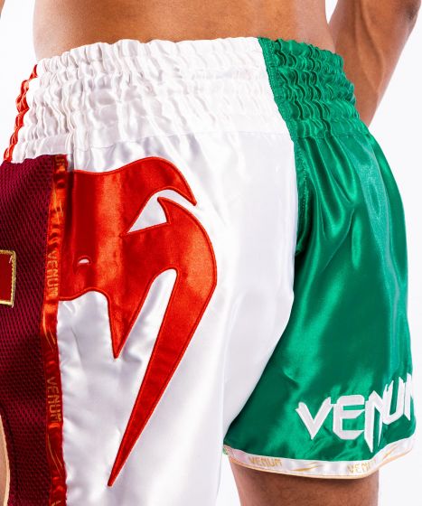 Venum MT 泰拳短裤旗帜系列 - 意大利